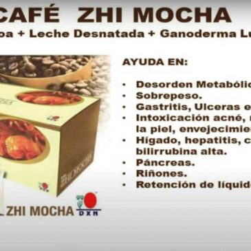 Beneficios del Zhi Mocha